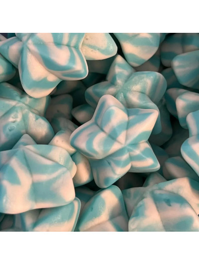 Etoiles Twist Bleu Lisse 100g