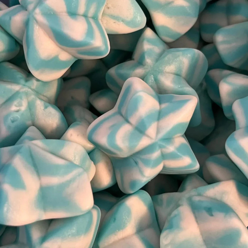 Etoiles Twist Bleu Lisse 100g